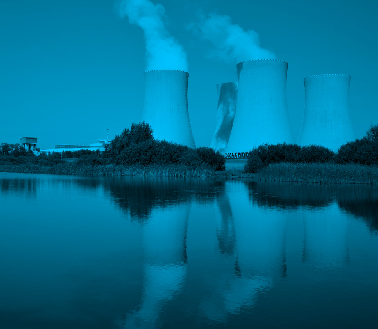 Keeping Nuclear Power Plants Secure and in Operation during the Pandemic